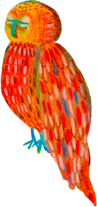 Búho posado y durmiendo