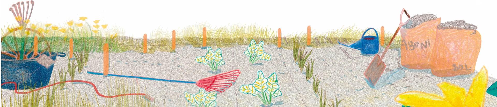 Fondo con flores de colores