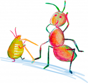 Búho posado y durmiendo